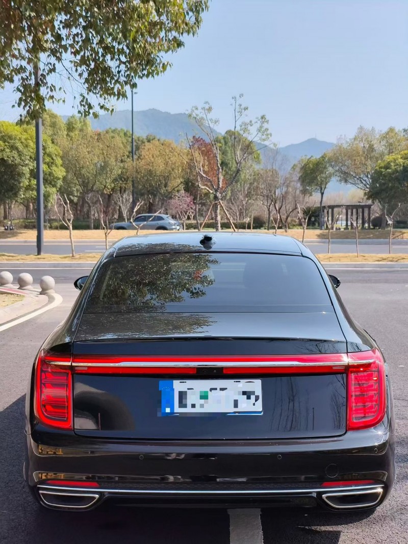 湖州23年红旗H99