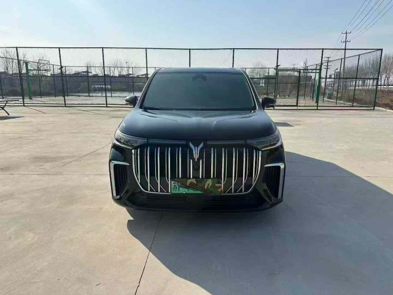 徐州24年岚图汽车梦想家1