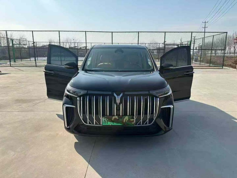 徐州24年岚图汽车梦想家8