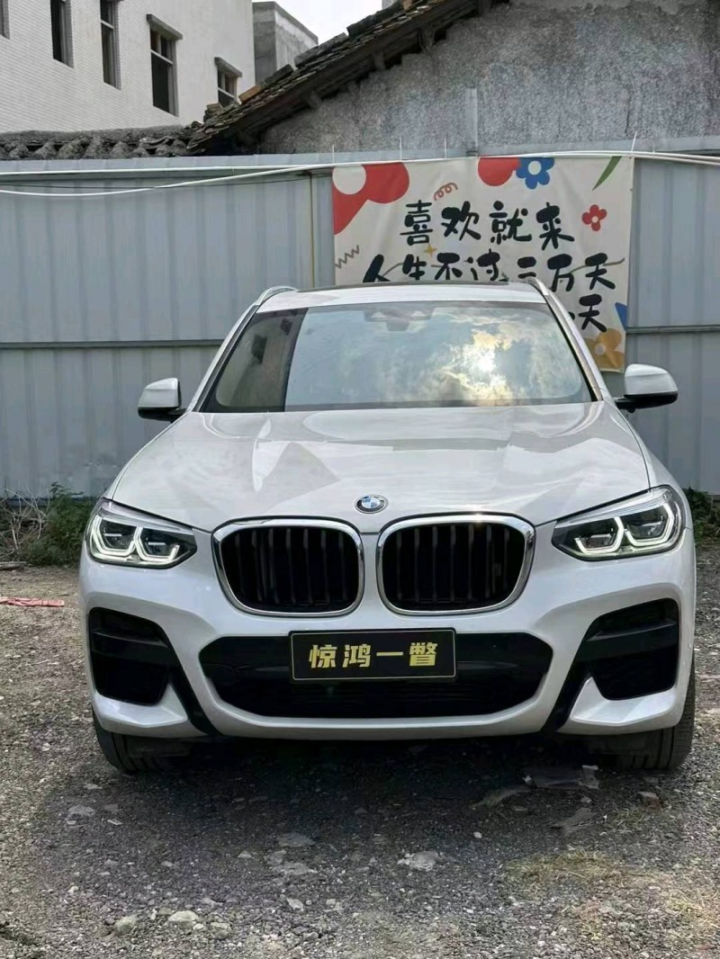 广州21年宝马X31