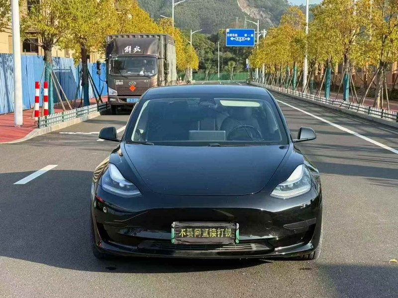 南平21年特斯拉MODEL 31