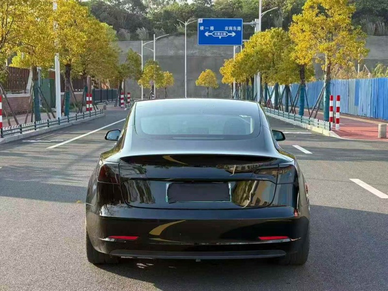 南平21年特斯拉MODEL 39