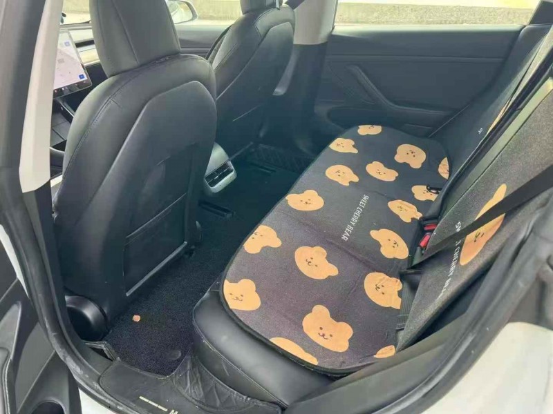 绍兴20年特斯拉MODEL 34