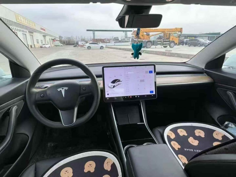绍兴20年特斯拉MODEL 36
