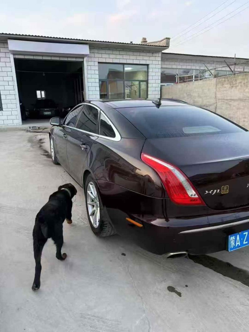 呼伦贝尔13年捷豹XJL8