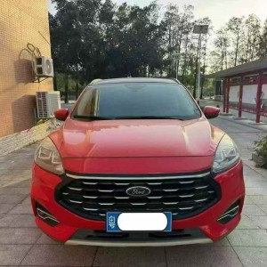 广州20年福特锐际