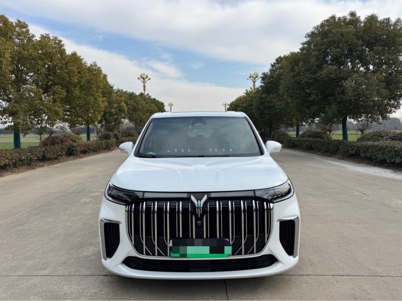 鹽城24年嵐圖汽車夢想家1