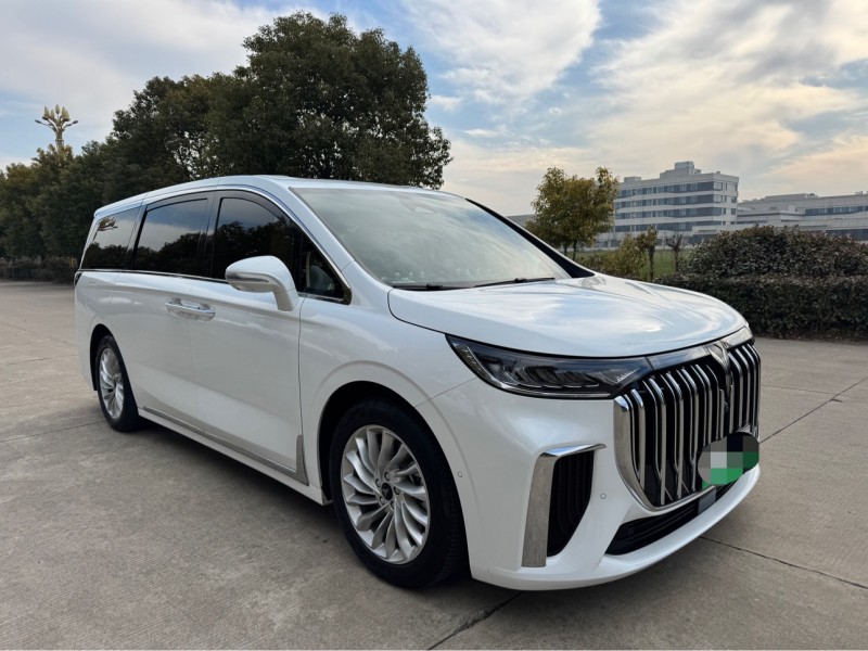 鹽城24年嵐圖汽車夢想家2