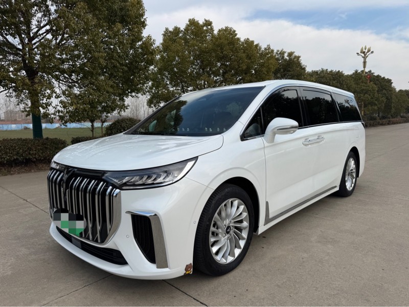 鹽城24年嵐圖汽車夢想家3