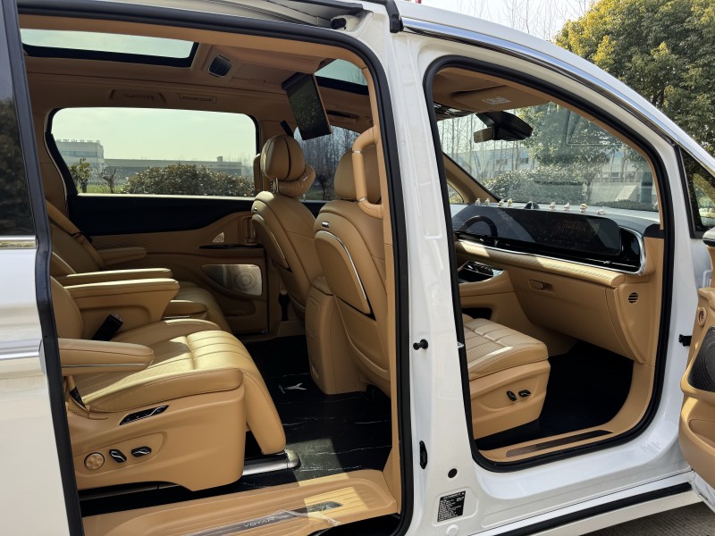 鹽城24年嵐圖汽車夢想家5