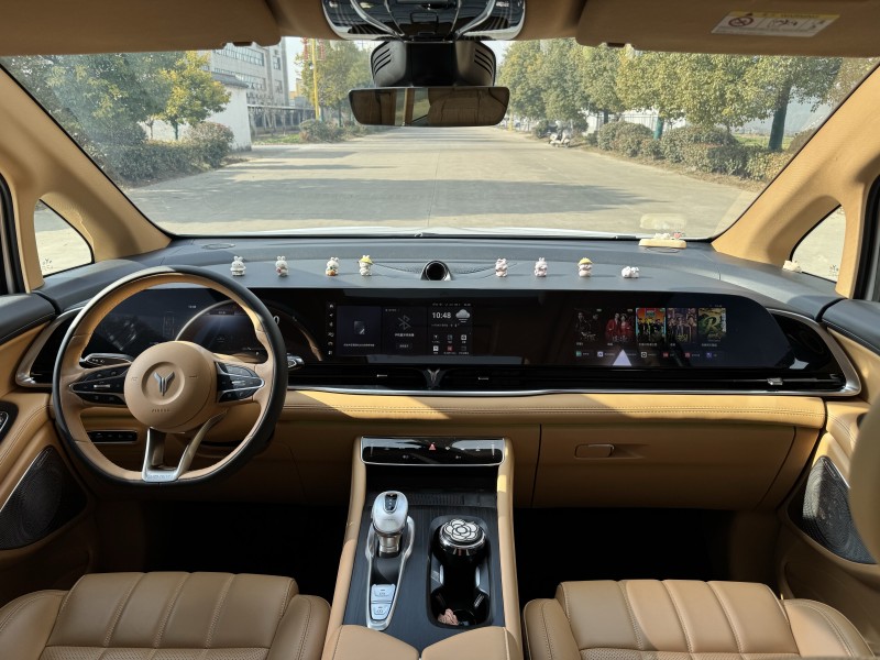 鹽城24年嵐圖汽車夢想家6