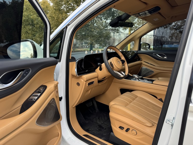 鹽城24年嵐圖汽車夢想家9