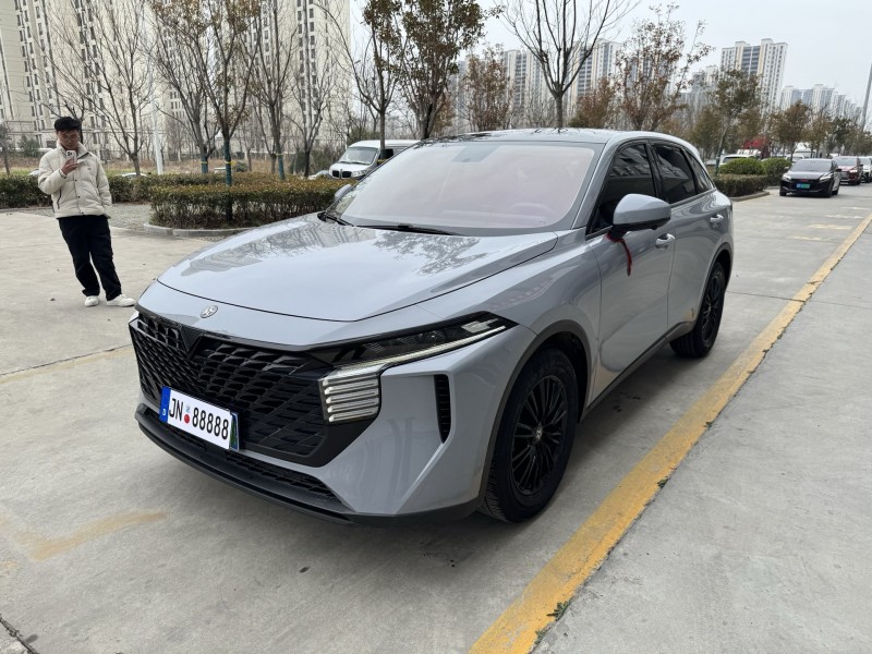 濟寧23年啟辰大V2