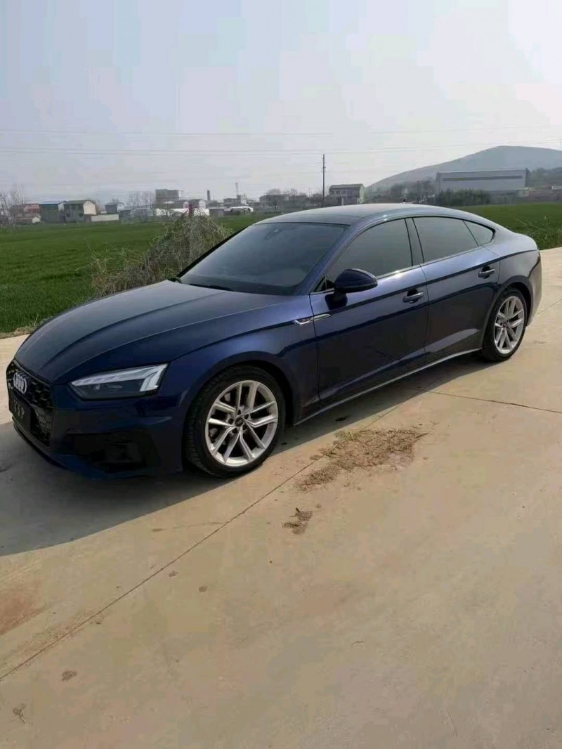 阜阳22年奥迪A52