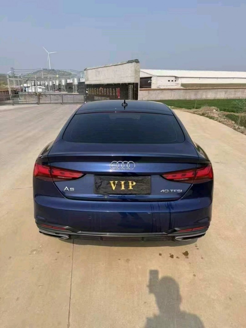 阜阳22年奥迪A55