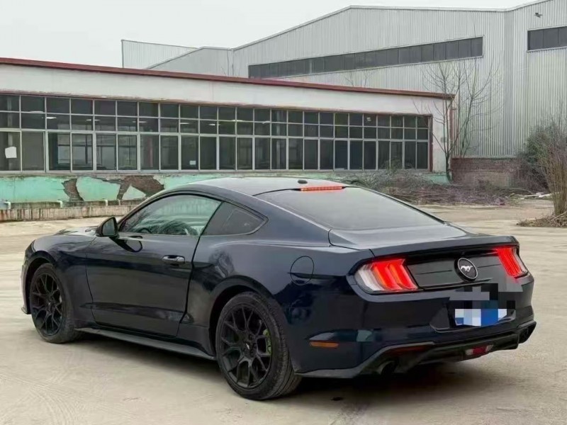 菏澤19年福特野馬8