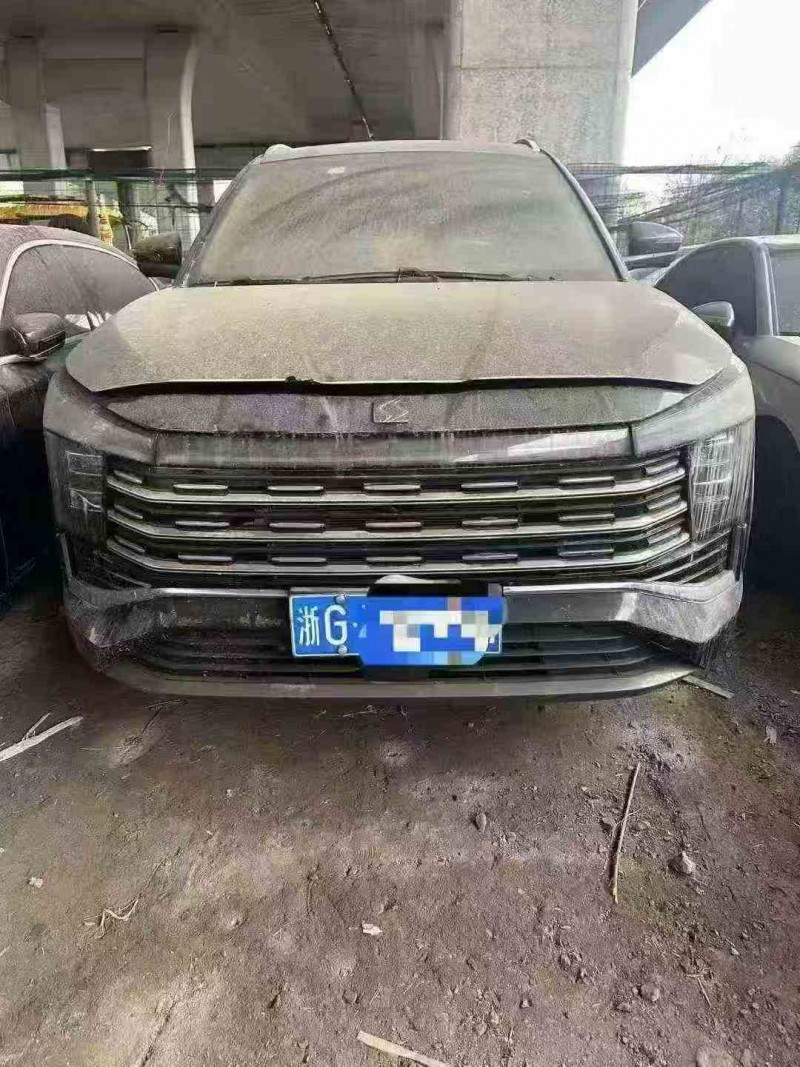 湖州23年江淮思皓1