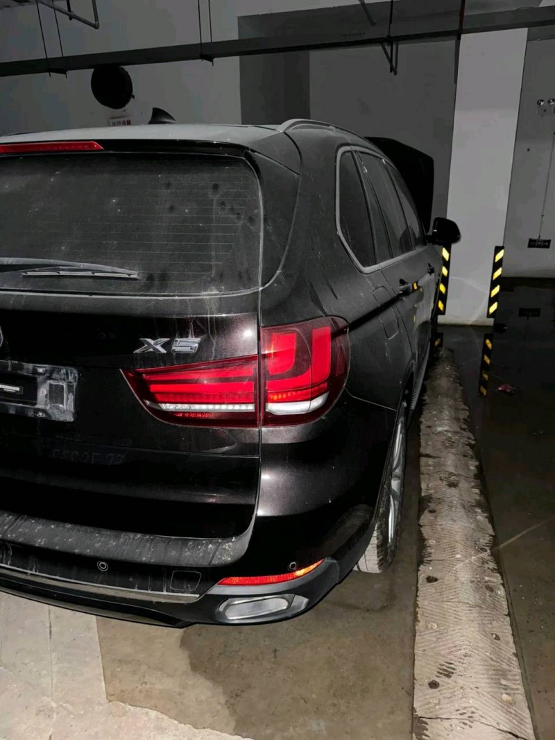 安順17年寶馬X59