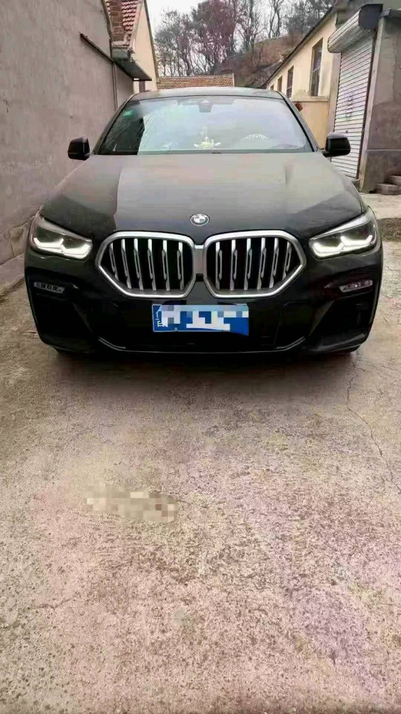 淄博21年寶馬X61