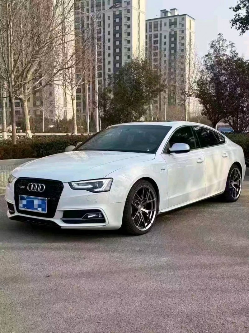 菏澤17年奧迪S52