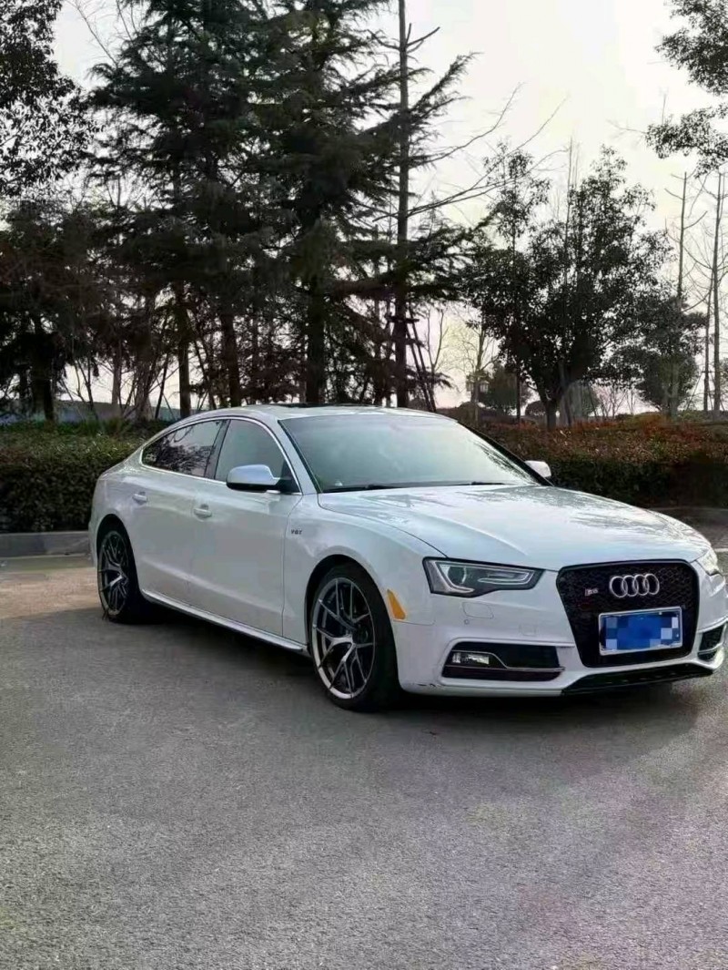 菏澤17年奧迪S53