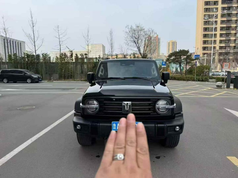 濟寧24年長城汽車坦克1