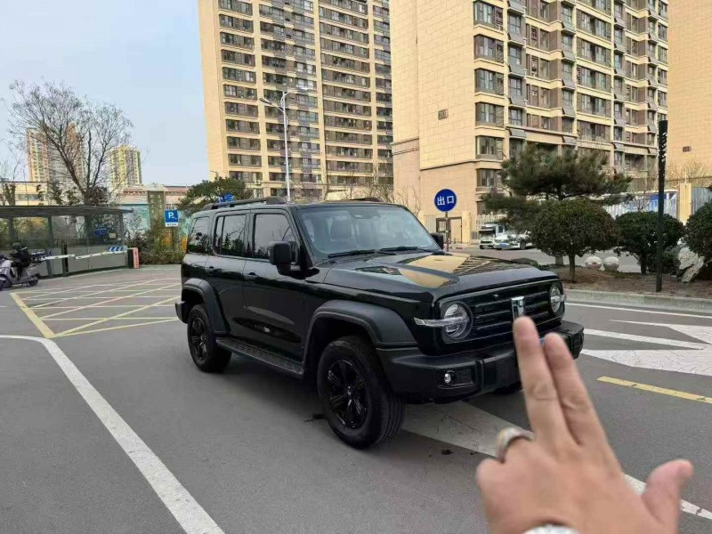 濟寧24年長城汽車坦克2