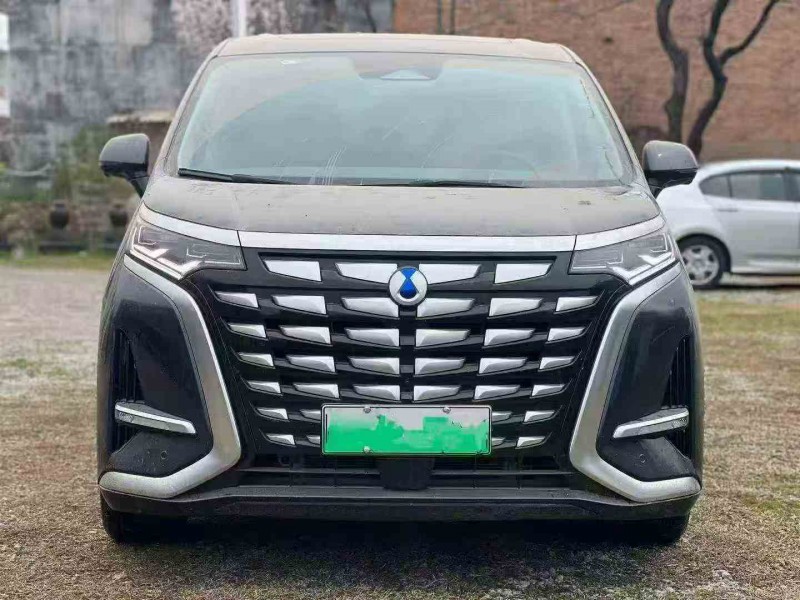 宝鸡24年腾势D91