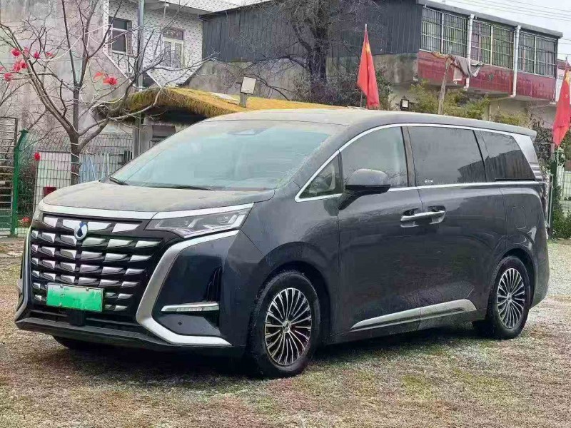 宝鸡24年腾势D93