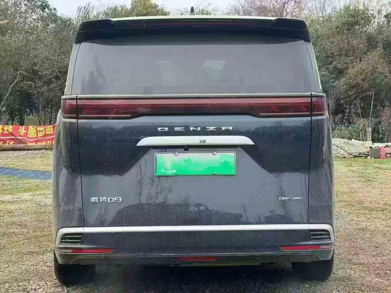 宝鸡24年腾势D99