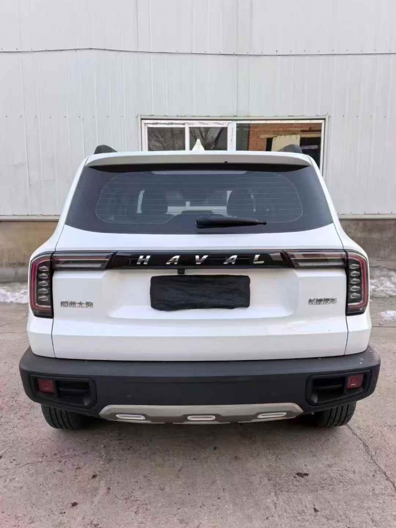 淮安23年哈弗大狗9