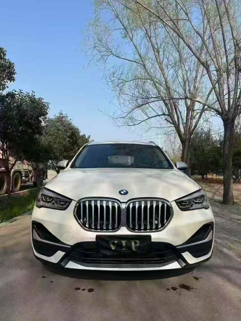 東營21年寶馬X11