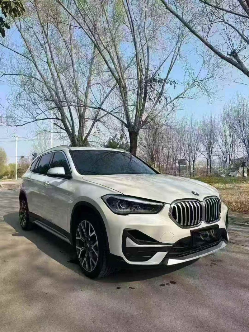 東營21年寶馬X13