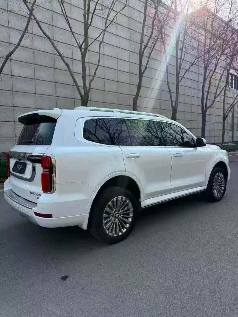 淄博23年长城汽车坦克8