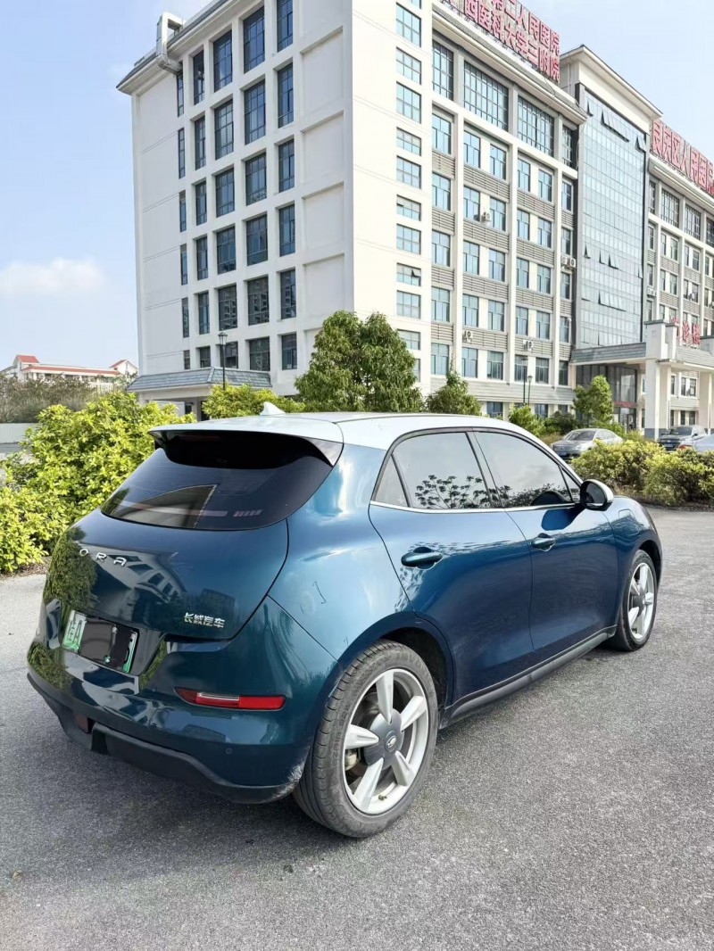 南宁22年长城汽车欧拉8