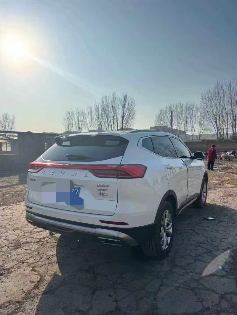 鹤壁21年哈弗H66