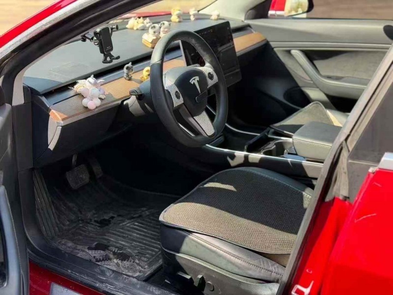 广州19年特斯拉MODEL 33