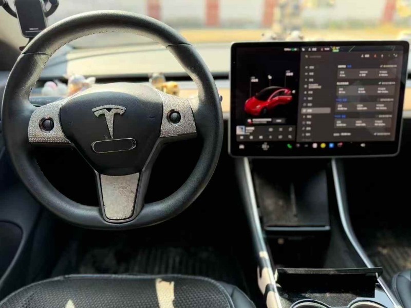 广州19年特斯拉MODEL 34