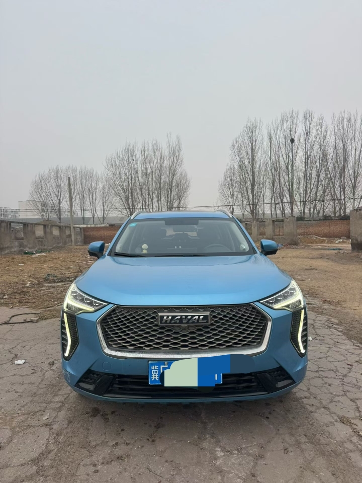 鹤壁21年哈弗初恋1