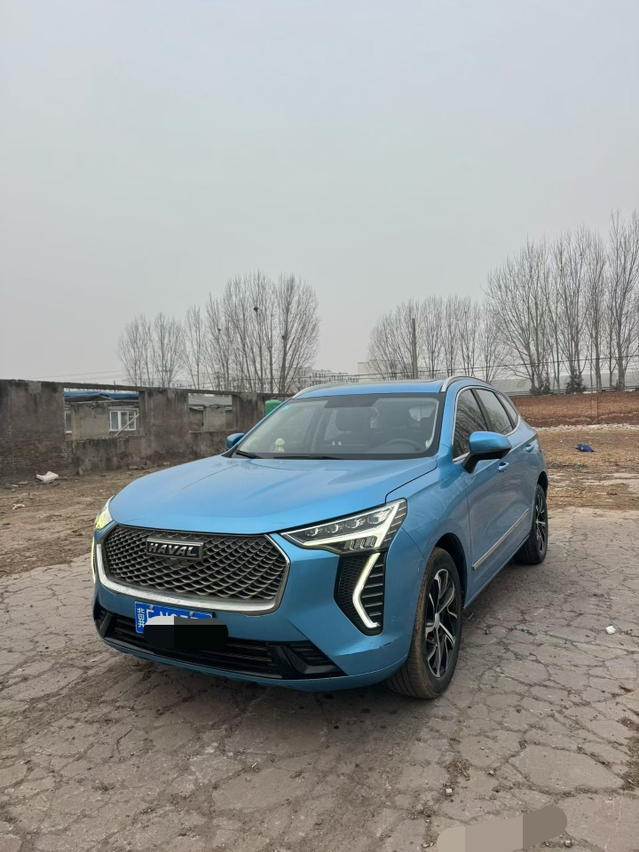 鹤壁21年哈弗初恋2