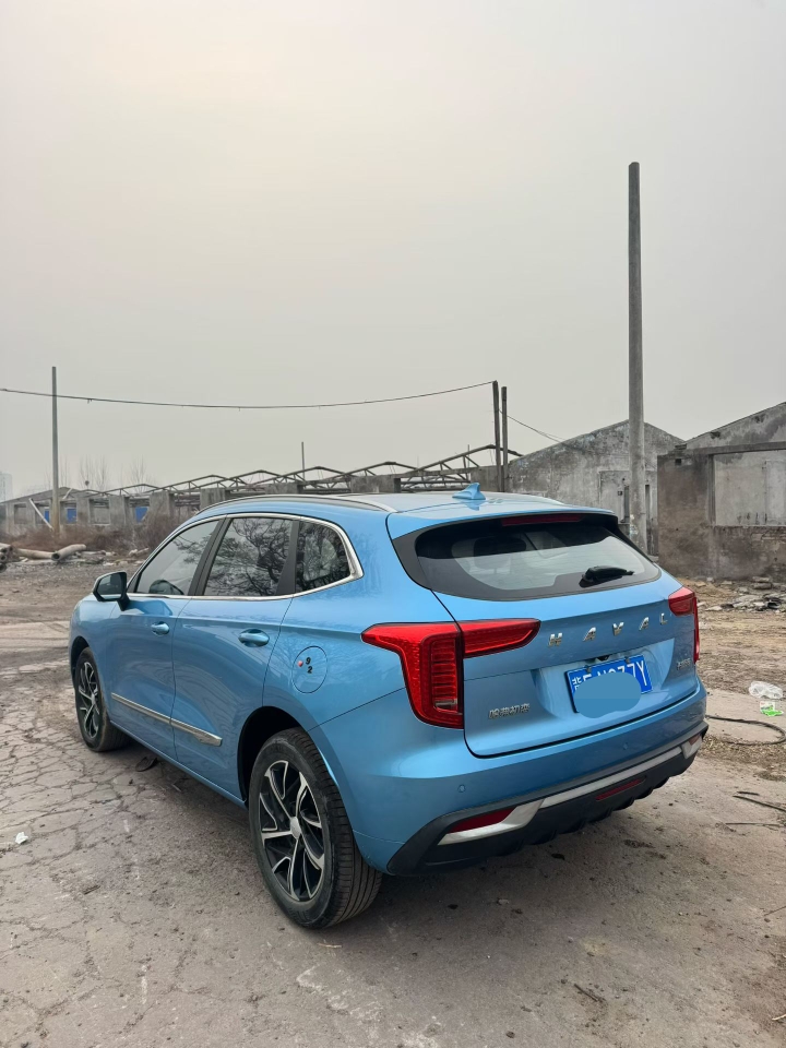 鹤壁21年哈弗初恋3