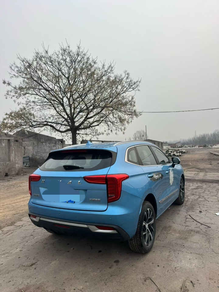 鹤壁21年哈弗初恋4