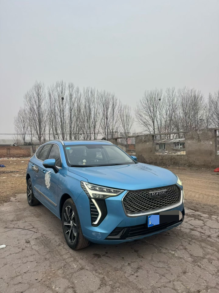 鹤壁21年哈弗初恋5