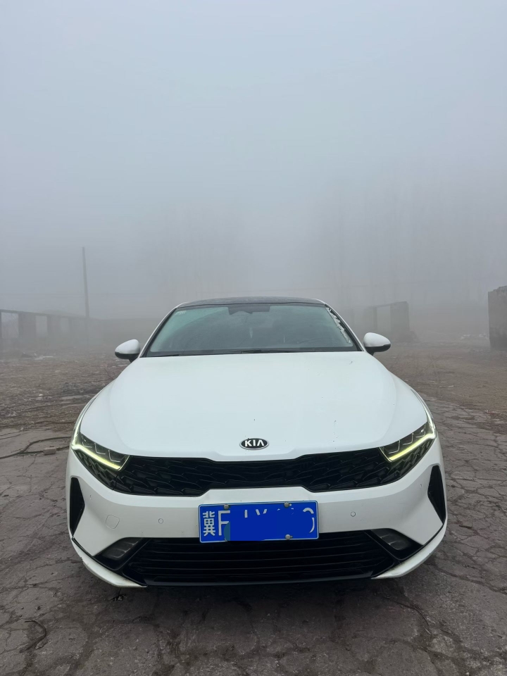 鹤壁21年起亚K51