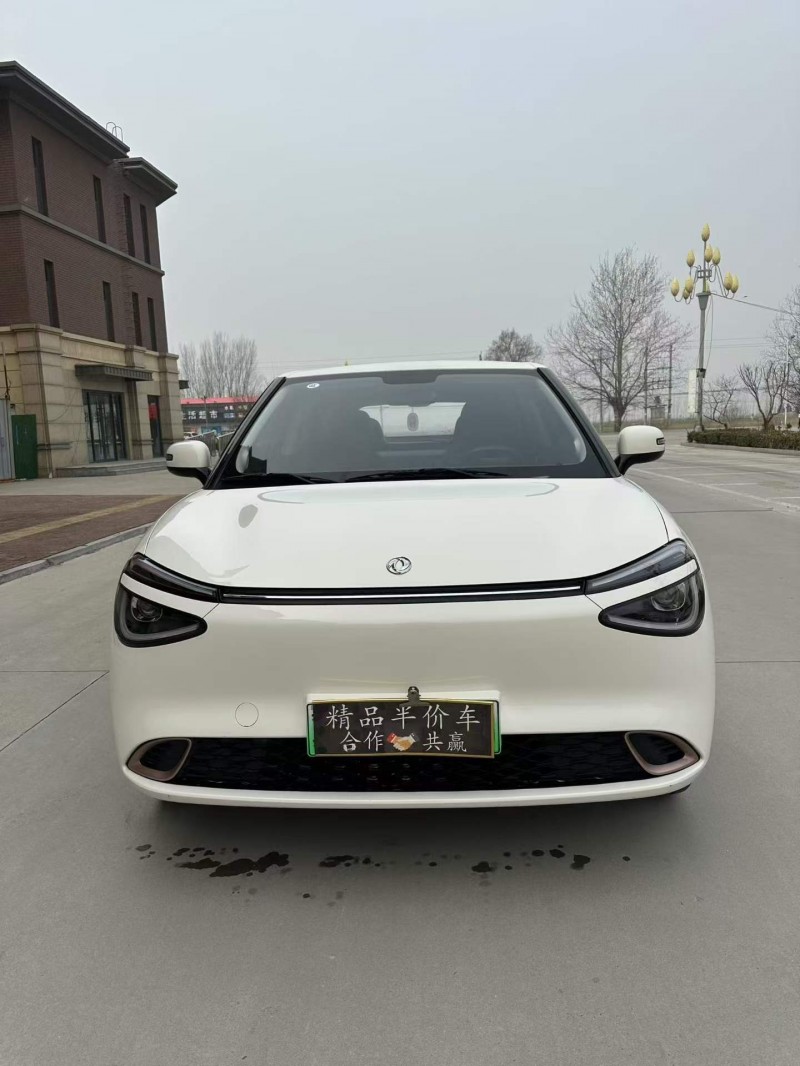 邢台25年东风纳米1