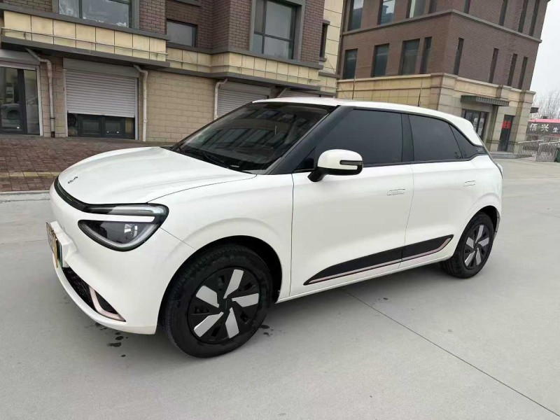 邢台25年东风纳米2