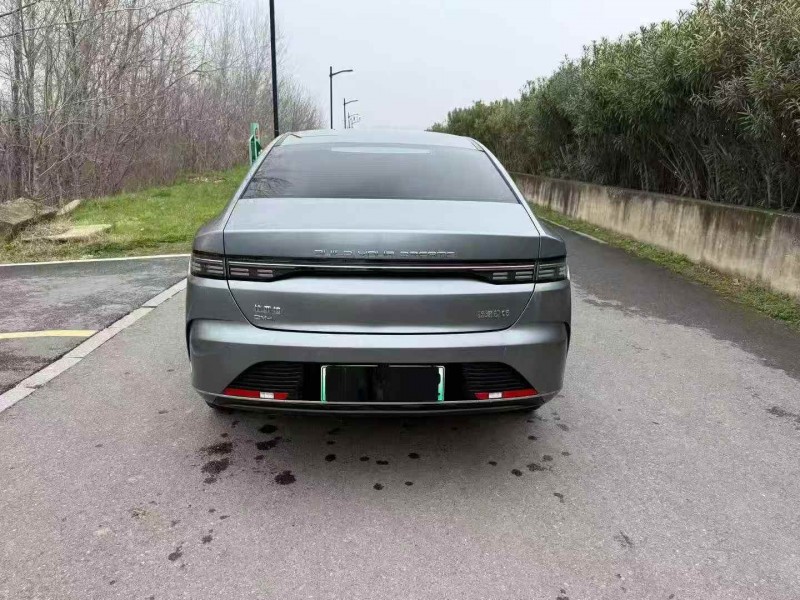 馬鞍山24年比亞迪驅逐艦9