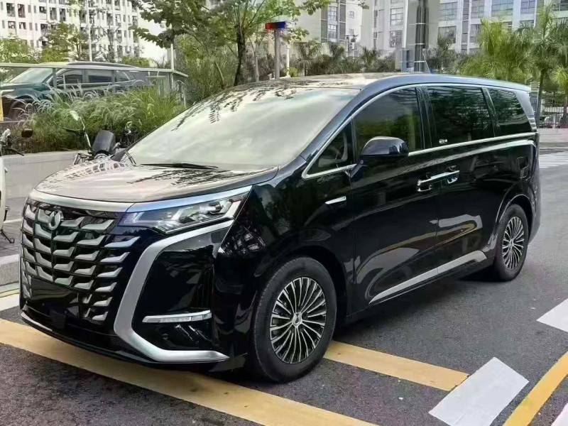 广州25年腾势D93