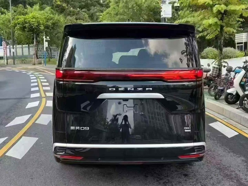 广州25年腾势D99