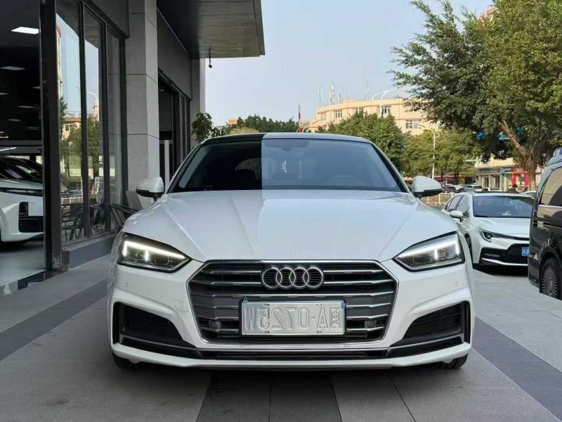 广州19年奥迪A51